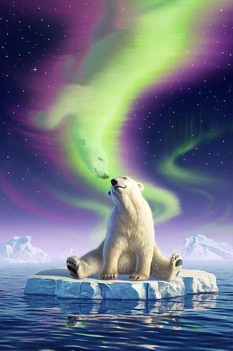 Aurora Polar Bear Polar Bear Art Antarctic Animals Polar Bear