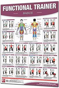 Productive Fitness 24 X 36 Laminated Fitness Poster Wall Chart