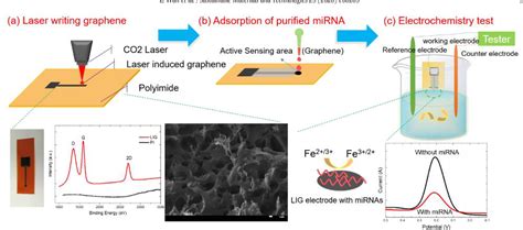 Figure 3 From Laser Induced Graphene For Biosensors Semantic Scholar