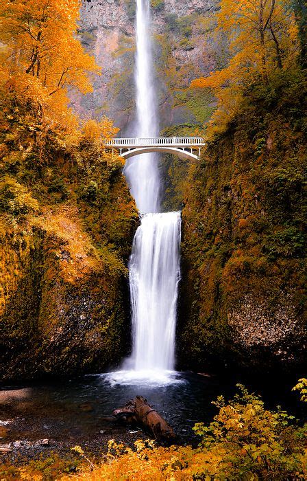 Multnomah Falls Waterfall In Portland Oregon During The Autumn Season