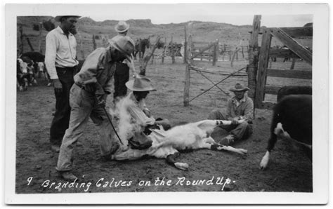 Four Cowboys Branding Cattle The Portal To Texas History