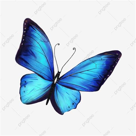 Colorida Mariposa Acuarela Azul, Imágenes Prediseñadas De Mariposa, Mariposa, Azul PNG y PSD ...