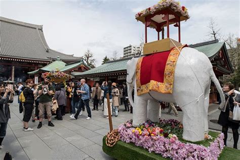 仏生会(花まつり) 花まつりの看板を設置、白象の飾り付け、花まつり行列の先導などを行っております | The Shinmon Tatsugoro
