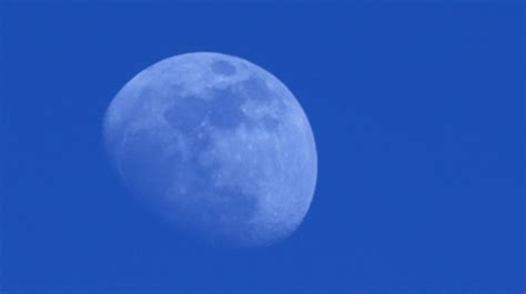 ¡no Te La Puedes Perder ‘luna Azul Aparecerá En Halloween Noticias