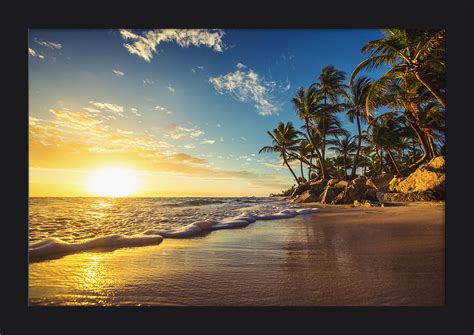 Tropical Scene Palms And Beach Sunset Lantern Press