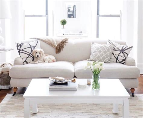The Best Pet Friendly Sofas Small Living Room Decor Living Room