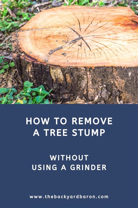 How To Remove A Tree Stump Without Grinder The Backyard Baron