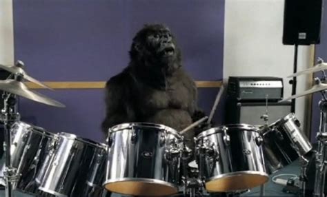 Cadbury Gorilla Plays Drums For Phil Collins Postkiwi