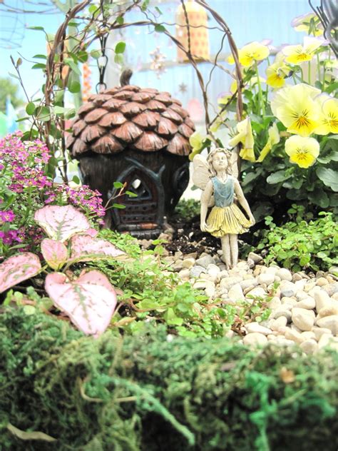 Everlasting Blooms Make Your Own Fairy Garden