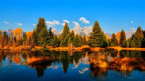 Fallinf leaves in lake wallpaper for cell phone. Autumn Reflection Trees Fall Lake Nature HD Wallpaper | Chainimage