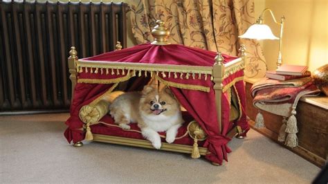 Luxury Canopy Dog Beds Designer Dog Beds Luxury Pet Beds Pet Beds
