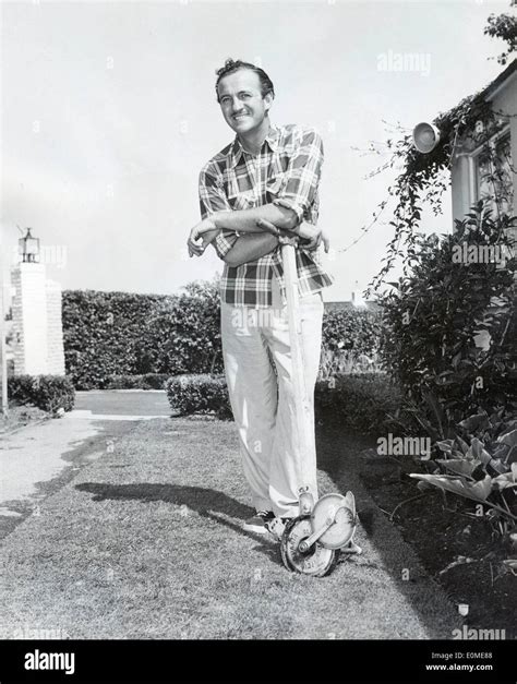 Actor David Niven In His Backyard Stock Photo Alamy
