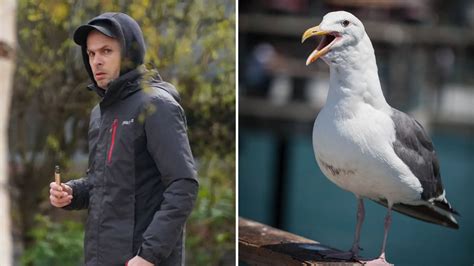 Sunderland Man 40 Captured Seagull And Masturbated Over It As He