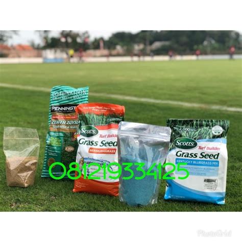Yuk jual & beli bibit rumput swiss online dengan daftar harga terbaru april 2021 di tokopedia sekarang! Jual benih bibit rumput jepang dan golf-benih rumput swiss ...