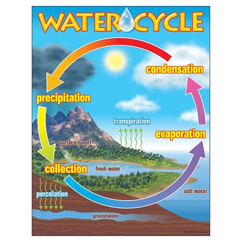 The Water Cycle Learning Chart 17 X 22 T 38119 Trend Enterprises