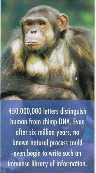 Did Humans Evolve From Apes According 2 Genesis