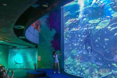 Bangkok Sea Life Aquarium Compare Price 2023