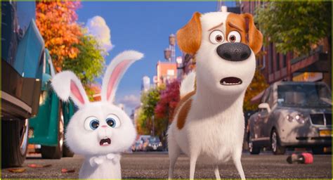 Pauline quenu, the daughter of shopkeepers in the parisian busines. 'Secret Life of Pets' Cast - Meet the Voices of the ...