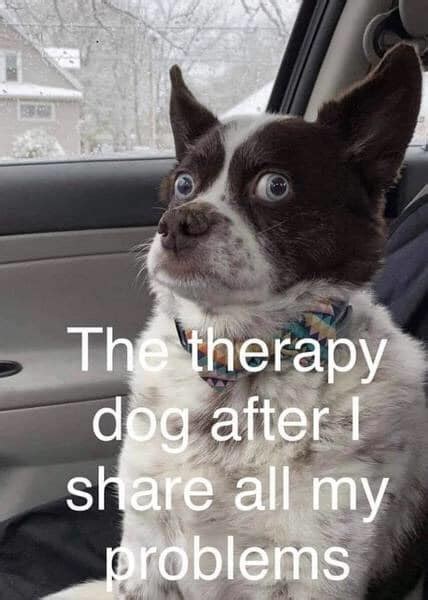 Memes About Therapy That Are Much Needed 21 Memes Feels Gallery