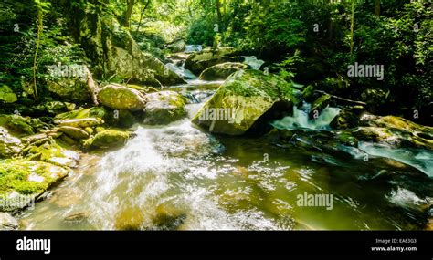 Yellow Creek Falls Great Smoky Mountains Stock Photo Alamy