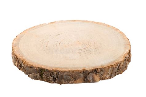 Wood Log Slice Stock Image Image Of Slice Background 98180549