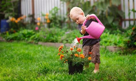 ¡plantas Las Mejores Plantas Para Niños Y Niñas Plantasparaes