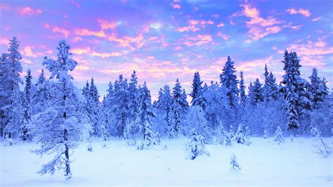 Sweden In Winter What To Do And Where To Go Nordic Visitor
