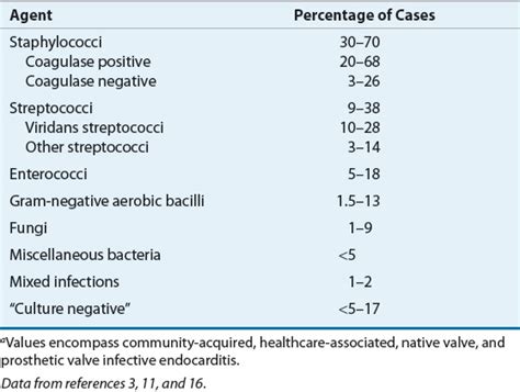 Infective Endocarditis Basicmedical Key