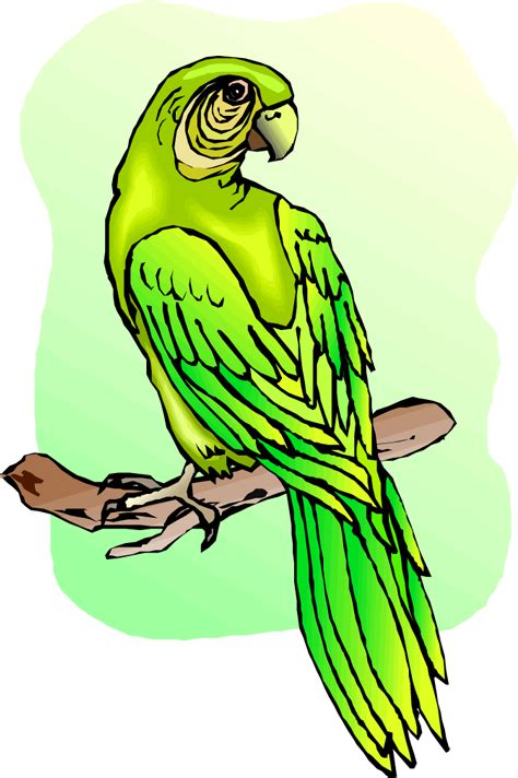 Green Parrot Cliparts Budgerigar Png Download Full Size Clipart