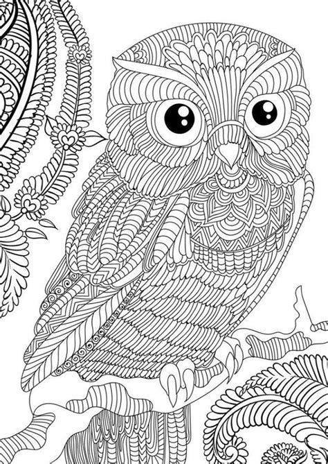 Free Printable Owl Coloring Pages For Adults Choose Your Favorite