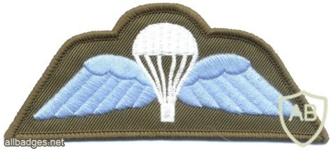Badge Information Page Viewing Badge Uk British Army Parachute Jump