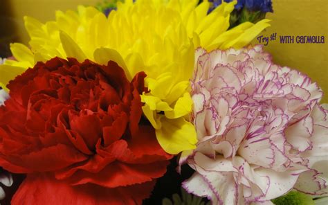 Bundle flower rose, mimosa and peonies. *Try It With Carmella*: Beautiful Flower Bundle