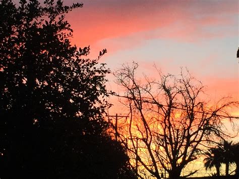 Phoenix Sunset 🌅 Sunset Celestial Outdoor