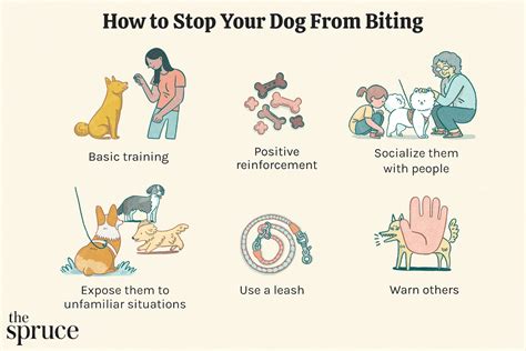 What To Do When Puppies Wont Stop Biting