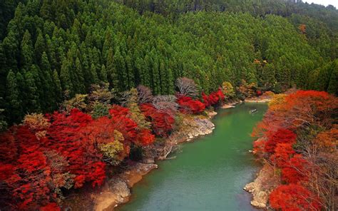 Fall River Forest Japan Red Green Leaves Trees