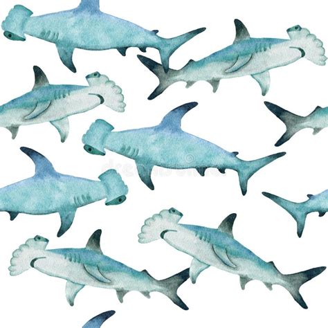Hand Drawing Shark Stock Photos Free And Royalty Free Stock Photos From