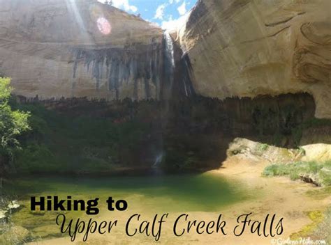 The Best Dog Friendly Waterfalls Hikes In Utah Girl On A