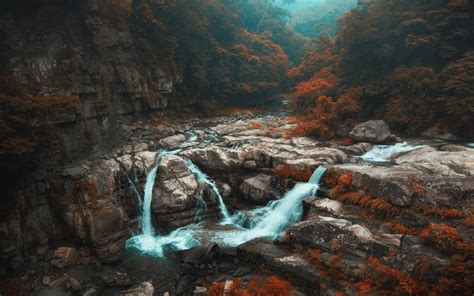wallpaper trees landscape forest fall waterfall rock nature mist river cave shrubs