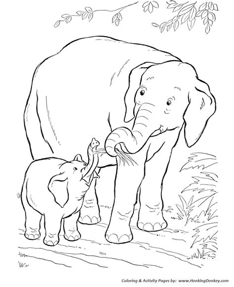 Wild Animal Coloring Pages Baby Elephant Coloring Page