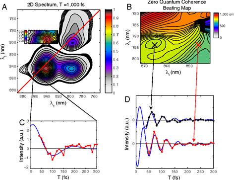 Figure 3 From Quantum Coherence Spectroscopy Reveals Complex Dynamics
