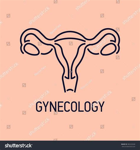 Gynecology Medical Healthcare Vector Linear Icon Stock Vector 383232028