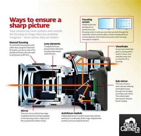 How A Digital Camera Works To Get Sharp Images Free Cheat Sheet Photography Cheat Sheets
