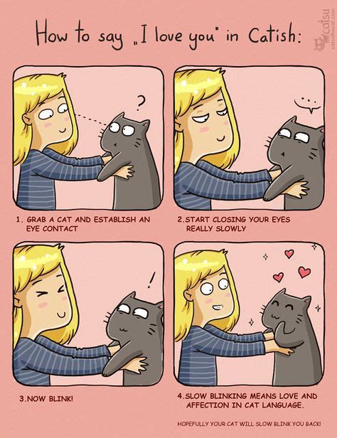 A Comic Strip About How To Say I Love You In Cats