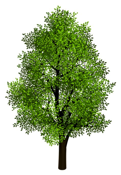Tree Branch Clip Art Green Png Download 8001156 Free Transparent