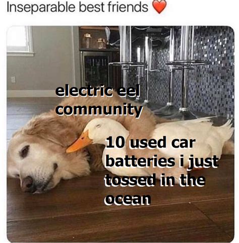 Of The Funniest Car Battery Memes We Had Time To Find Free Nude