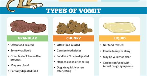 Dark Brown Dog Vomit Color Guide Bornmodernbaby