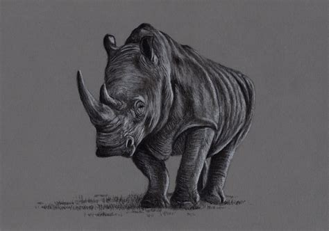 Original Charcoal Drawing Of A Rhino Wildlife Original Art Etsy