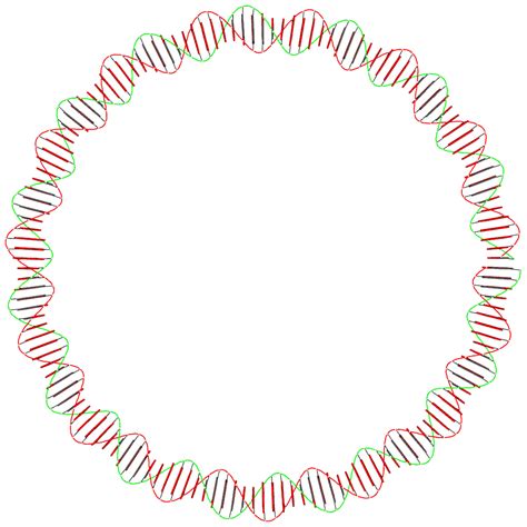 3dna Homepage Nucleic Acid Structures