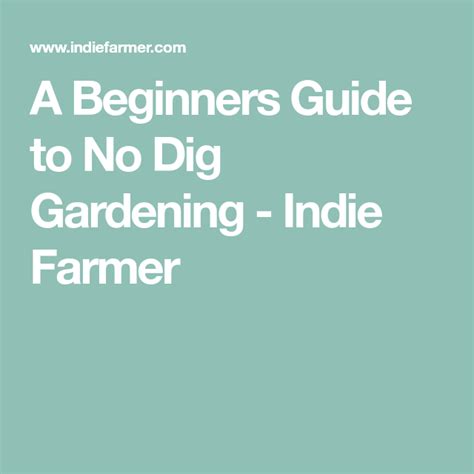 A Beginners Guide To No Dig Gardening Indie Farmer Beginners Guide