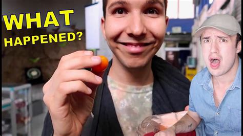 Nikocado Avocado THEN VS NOW (How Nick has changed) - YouTube